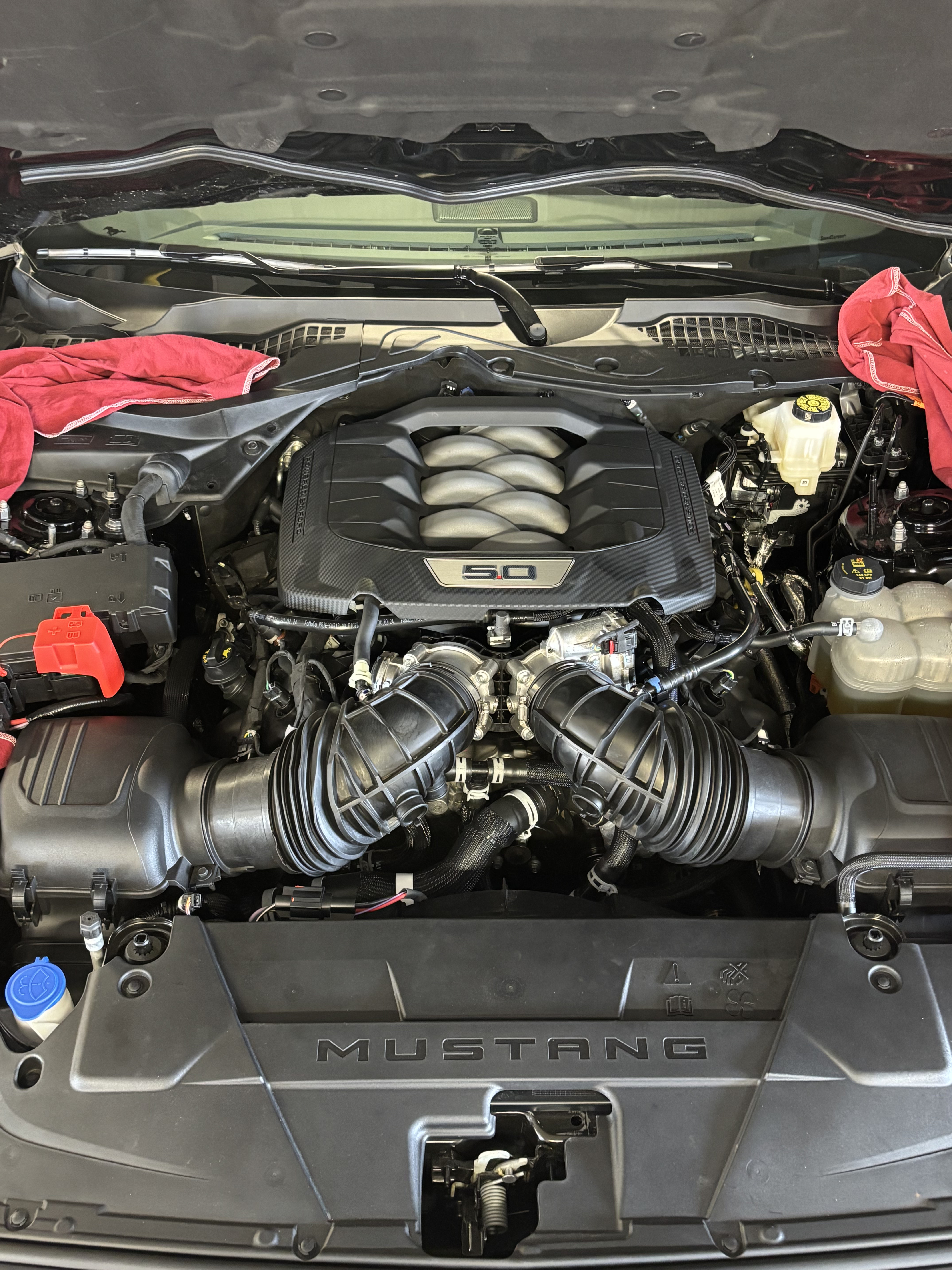 2025 Ford Mustang GT — photo 5